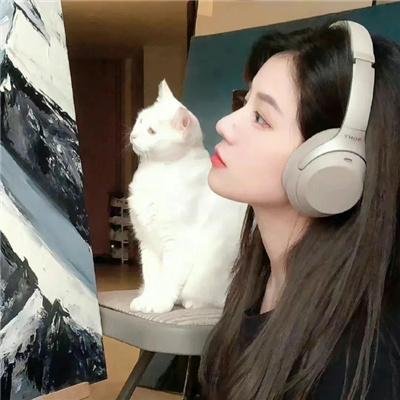 大唐女法医